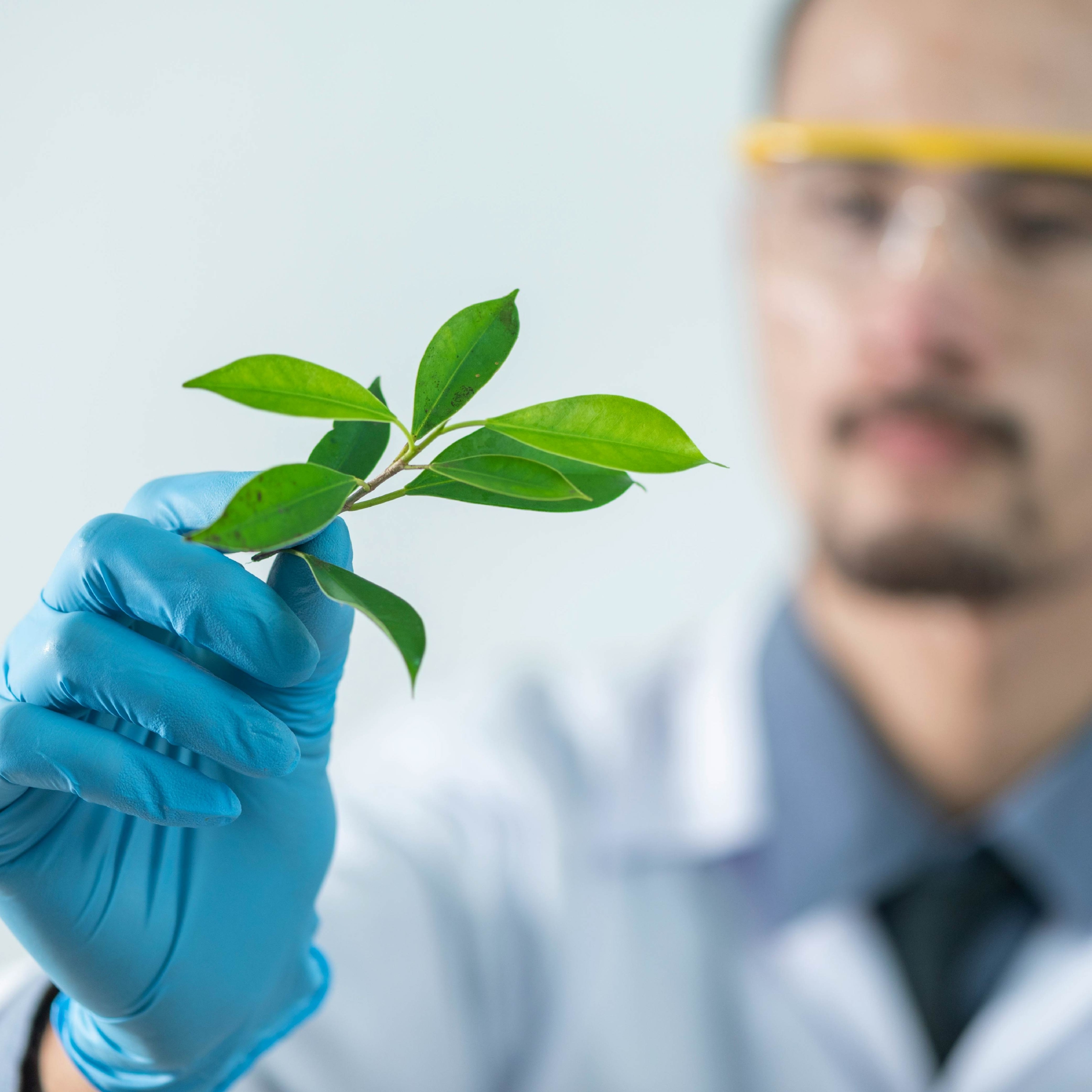 Website-Thumbnail_Spain_Azelis-Group-Solchem-Nature-SL
